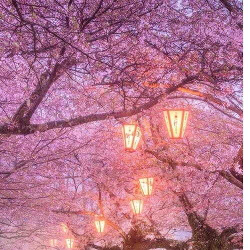 718娱乐吃瓜在线下载